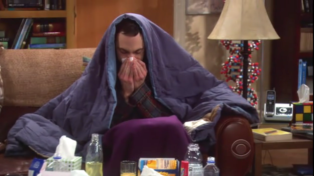 The.Big.Bang.Theory.S03E15.HDTV.XviD-FQM.avi_001164371.png